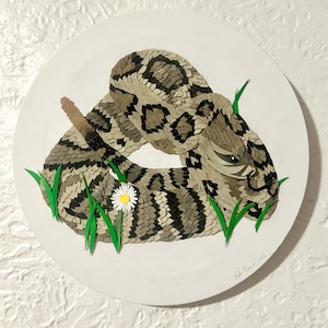 May include: A round canvas art piece featuring a coiled rattlesnake in shades of gray, brown, and black. Green paper grass and a small white daisy with a yellow center are also included. The artwork is signed "Keli Davis 2015".