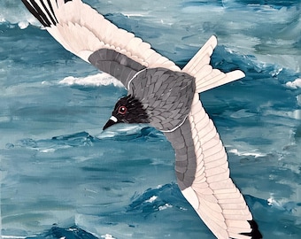 Gabbiano codadirondine 20" x 16"
