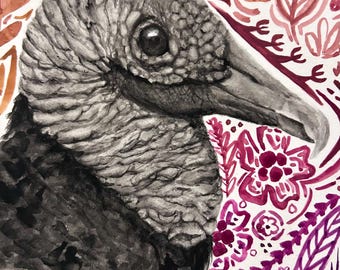Avvoltoio nero 8" x 6"