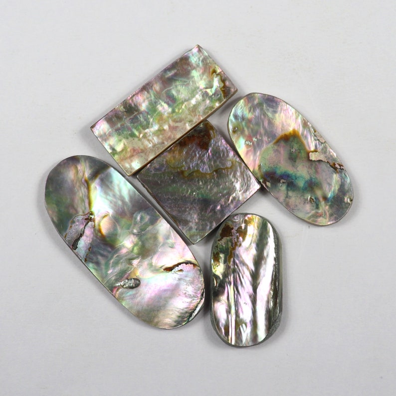Amazing Abalone Shell Cabochon Loose Gemstone Natural Abalone 5pcs 127Cts Shell Handmade Polish Jewelry Making Loose Gemstone SKU9496