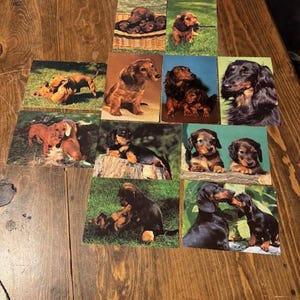 Set of 11 Vintage Dachshund Postcards