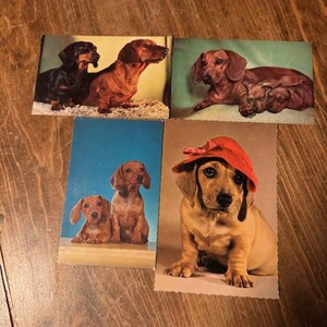 Set of 4 Vintage Dachshund Postcards