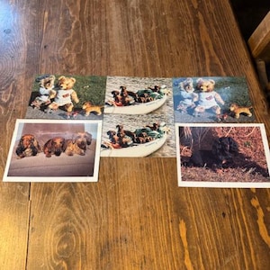 Set of 6 Vintage Dachshund Postcards