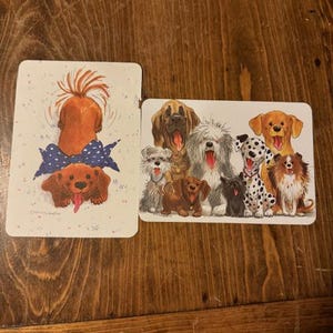 Conjunto de 2 cartões postais vintage do zoológico de Suzy