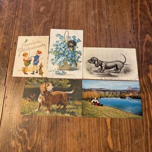 Set of 5 Vintage Dachshund Postcards