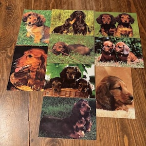 Set of 9 Vintage Dachshund Postcards
