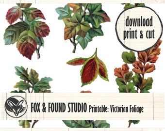 Foliage & Leaves Victorian Scraps Printable Ephemera, digital download, A4 PDF sheet, junk journal, collage, mixed media, nature images