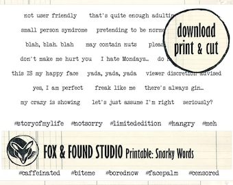 Snarky Words Printable digital download, A4  PDF sheet, junk journaling, collage, mixed media, cardmaking, sarcastic phrases, card greetings