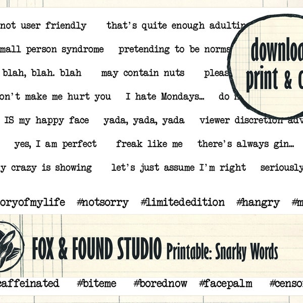 Snarky Words Printable digital download, A4  PDF sheet, junk journaling, collage, mixed media, cardmaking, sarcastic phrases, card greetings