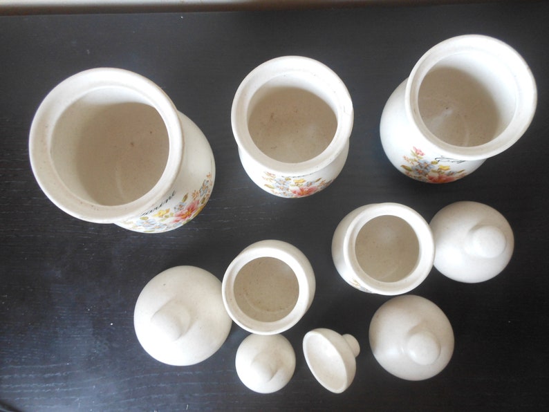 Tarros de especias vintage / botes franceses de Salins | Etsy