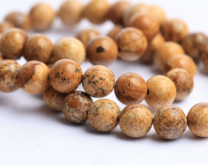 Natural stones Dalmatian Jasper 8mm Sierra brown marble x 45 beads