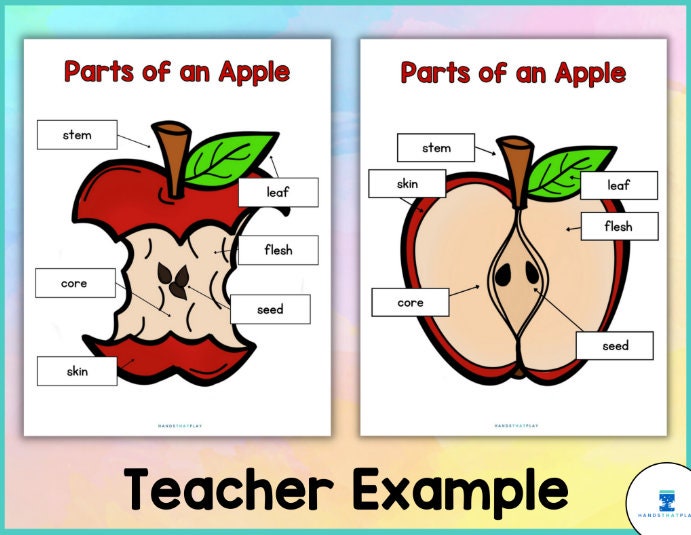 Apple Science - Label Parts of an Apple Diagram (apple Core or Apple ...