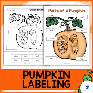 May include: Educational pumpkin labeling worksheet. The image shows two pages: one for labeling and one with labeled parts. The pumpkin is cut open, revealing seeds and flesh. The text "PUMPKIN LABELING" is at the bottom.