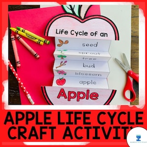 Apple Life Cycle | Life Cycle of an Apple | All About Apples | Printable Craft Acitvity