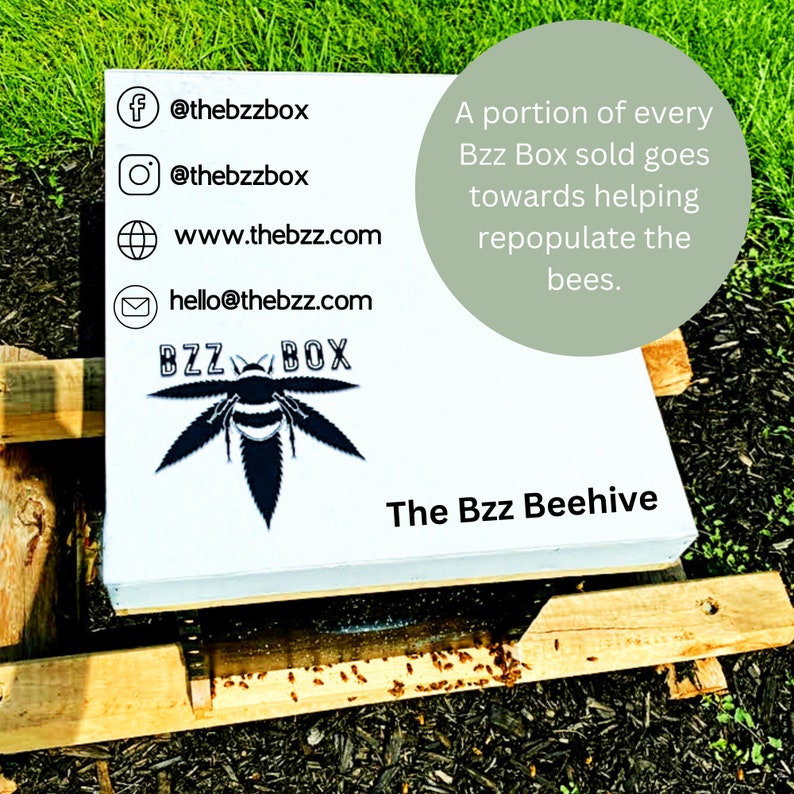 Large Bzz Box Stash Set | Rolling Tray l 3 Stash Jars l Smoking Accessories | Smell Proof Box | Boxes & Bins | Wooden Box | Storage & Organization | Bzz Box | Lock Box | Collectibles | Home & Living | Smoking Gift Idea | Large Stash Box custom