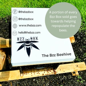 Large Bzz Box Stash Box| Beehive | Smell Proof Lock Box | Boxes & Bins | Wooden Box | Storage & Organization | Bzz Box | Lock Box | Collectibles | Home & Living | smoking  Gift Idea | Large Stash Box l Rolling Tray l Three Stash Jars