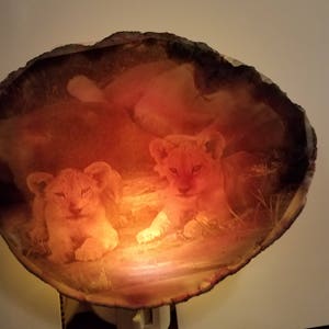 Mother and Cubs Brazilian Agate Night Light with LED Light