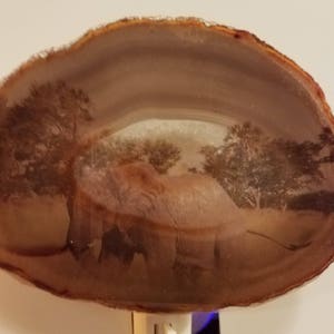 Elephant Brazilian Agate Night Light with LED Light