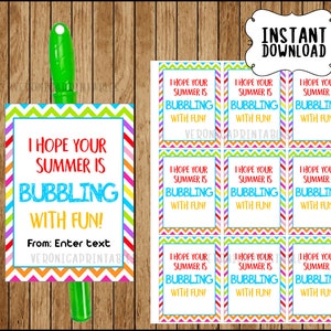 Bubbles with Fun Instant Download, Editable End of School Year Tags, Classmate Gifts, Hope Your Summer Bubbles with Fun