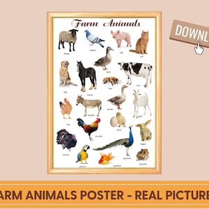 CARTEL DE ANIMALES DE GRANJA (imágenes reales), cartel Montessori, cartel imprimible, cartel de aprendizaje de educación en el hogar niños guardería habitación preescolar