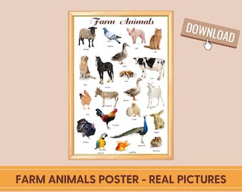 FARM ANIMALS POSTER (Real pictures), Montessori Poster, Poster Printable, Homeschooling Learning Poster Kids Nursery Room Preschool