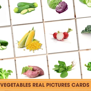 VERDURAS (Imágenes reales) Tarjetas didácticas, Verduras imprimibles Montessori, Tarjetas de aprendizaje de verduras, Imprimible Montessori, Tarjetas imprimibles