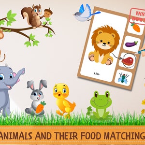Animali e la loro attività di abbinamento del cibo, Abilità motorie, Giochi con il cibo degli animali, Gioco di abbinamento degli animali, Dai da mangiare agli animali
