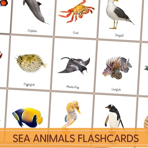 Sea animals Flashcards, Ocean animals, Montessori Flashcards Printable - Underwater animals Flashcards, Nomenclature Card