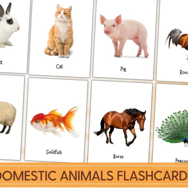 Domestic Animals Flashcards with Real Pictures, Farm Animals Cards, Montessori Flashcards Printable, Nomenclature Cards, Toddle Flashcards