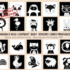 Animals High Contrast Sensory Flashcards, Black and White Flashcards, Sensory Cards for Infant Stimulation, Tummy Time Cards PDF