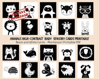 Animals High Contrast Sensory Flashcards, Black and White Flashcards, Sensory Cards for Infant Stimulation, Tummy Time Cards PDF