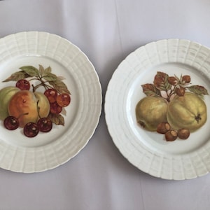 Vintage Pair of Fruit and Nut Porcelain Plates by Hutschenreuther Germany, Pattern HUT67 Elite 1960