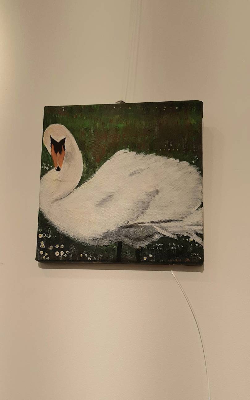 Grand Cygne Blanc Magestueux