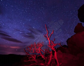 Carina Shero Light Wave 3D Lenticular Fine Art Nude Print - Etsy