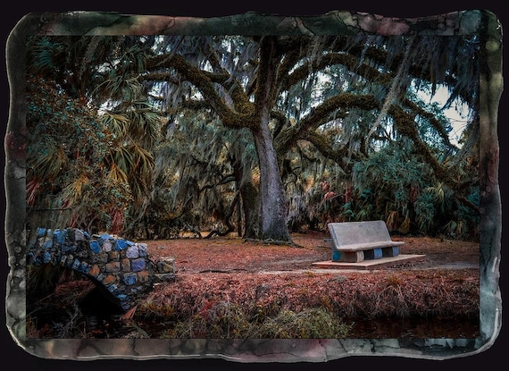 Tree of peace