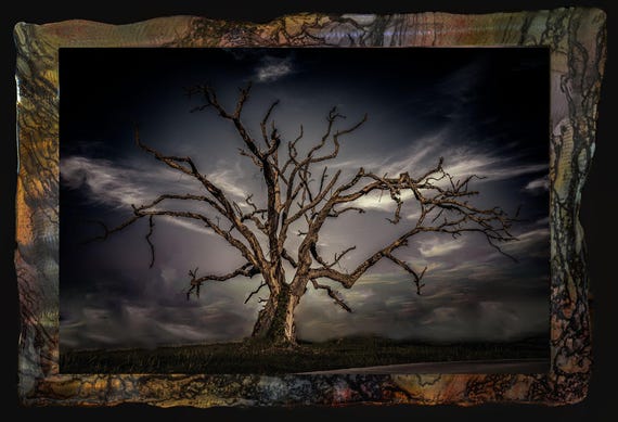 18"x28"photo print mounted on polished and painted metal.resin on top ready to hang. larger/smaller sizes available