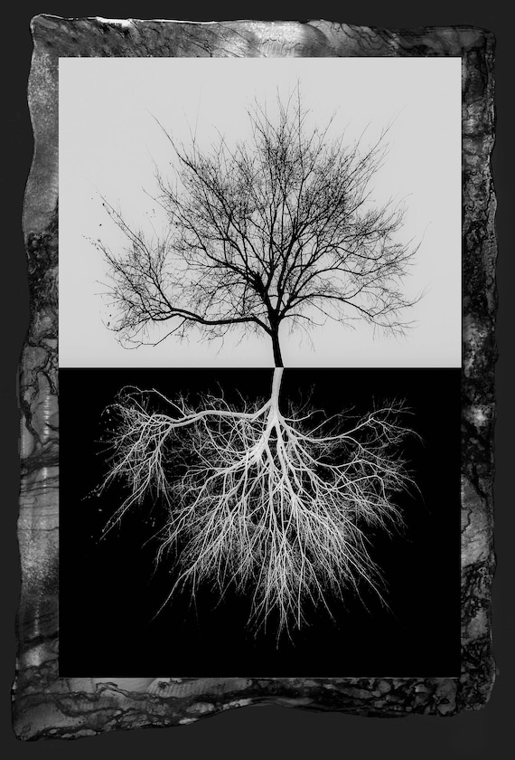 Tree of life.  20"x29"