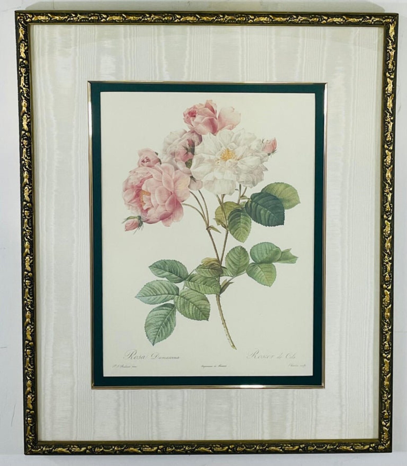 Pierre Redoute Botanical Lithograph Print a Bombay &amp; Co | Etsy