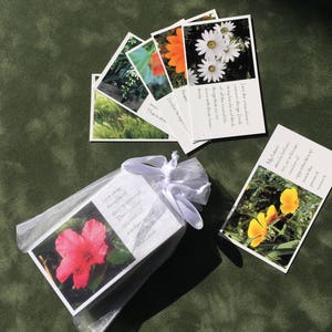 Weisheit Weisheit Karten Worte der Weisheit Inspiration inspirierende Sprüche Briefkarten Karte Deck Orakel Karten Geschenk für ihre Karte-Deck-Fotografie