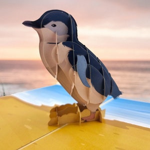 Little Penguin 3d pop up card