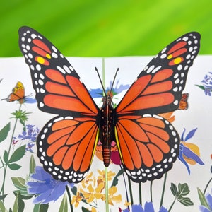 Cartão pop-up 3d borboleta laranja