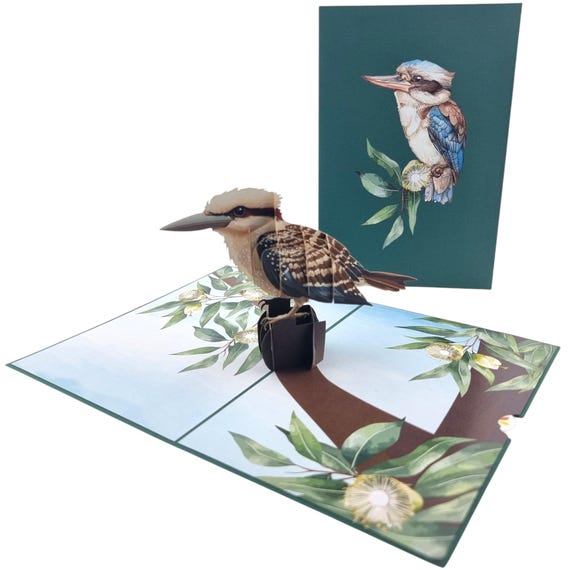 Lachender Kookaburra 3D Pop Up Karte - Etsy.de