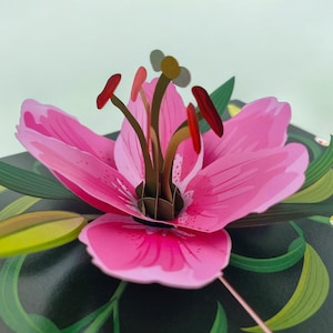 Pink Lily Flower 3d Pop Up Card