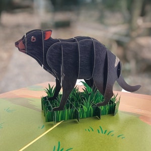 Könnte beinhalten: Eine schwarz-weiße Pop-up-Karte mit einem Tasmanischen Teufel, der auf grünem Gras steht. Die Karte ist aus Papier und hat einen 3D-Effekt.