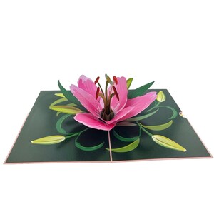 Pink Lily Flower 3d Pop up Card - Etsy