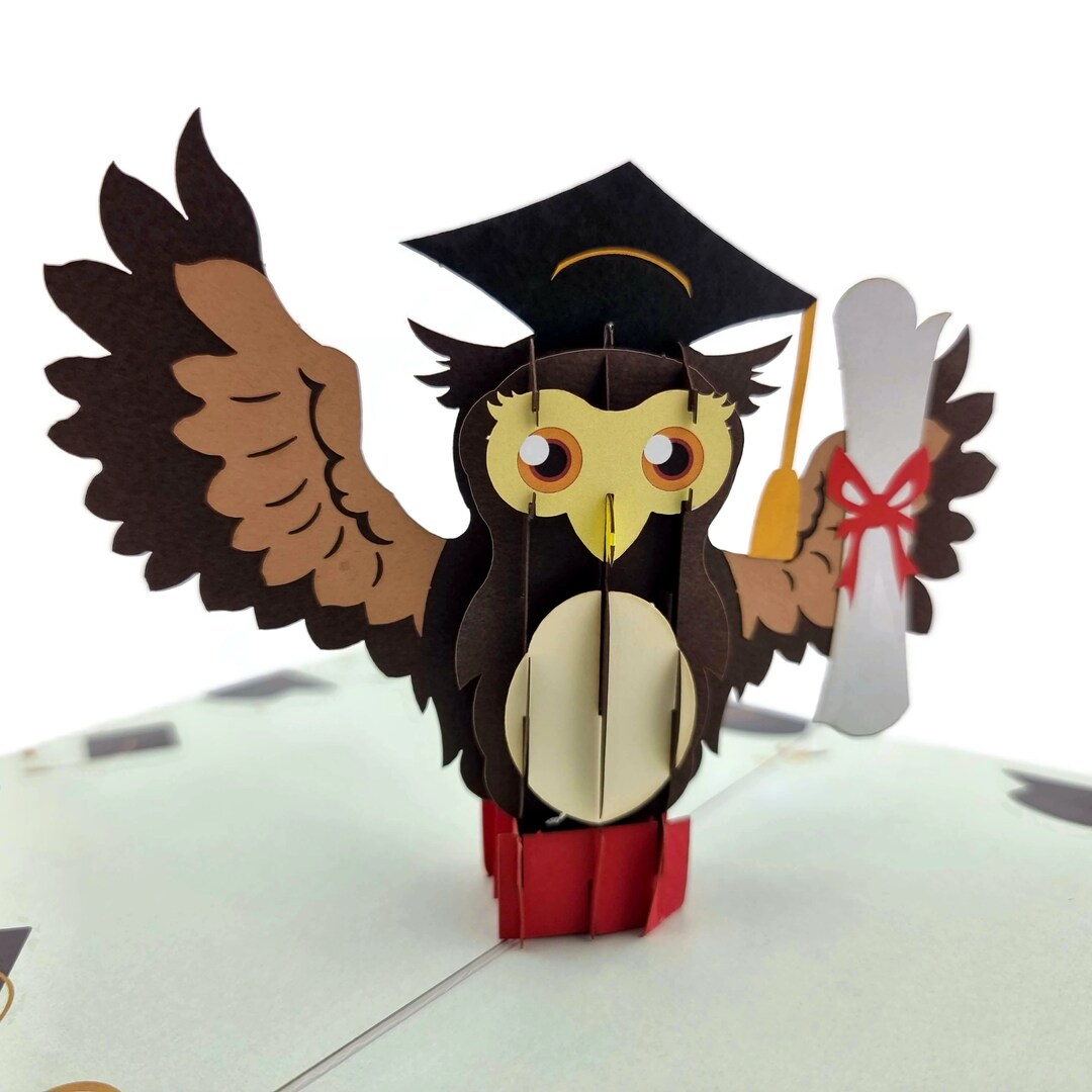 Graduation Owl 3d Pop up Card - Etsy