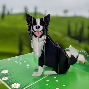 Border Collie Hund 3D Pop Up Karte