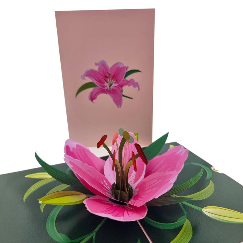 Pink Lily Flower 3d Pop up Card - Etsy