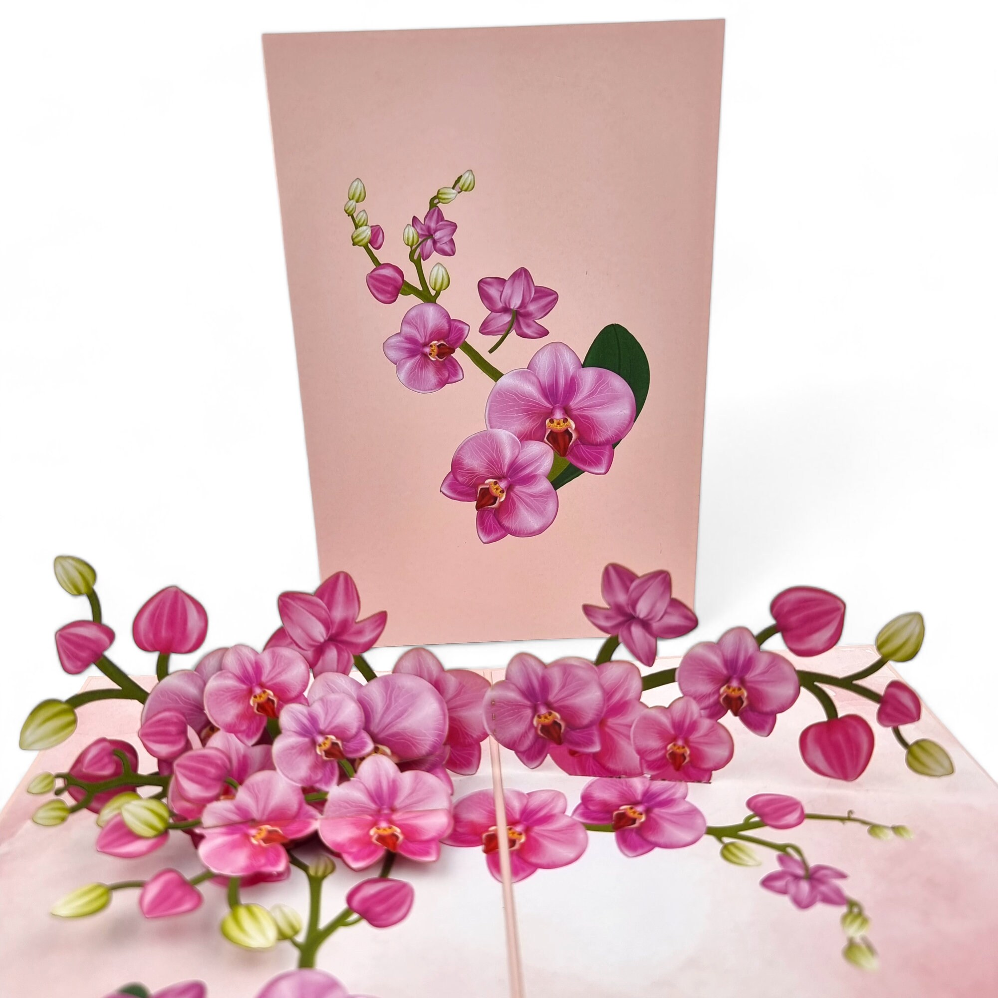 Biglietto di compleanno pop-up, biglietto di compleanno 3D, doppio