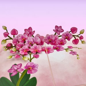 3D-pop-upkaart Pink Orchids